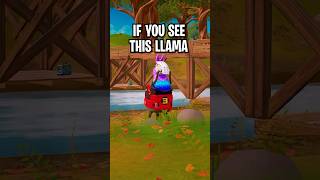 If You See This Llama BOX UP IMMEDIATELY [upl. by Aisela3]