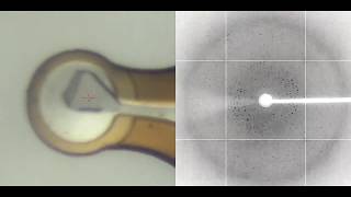 Xray diffraction of a protein crystal [upl. by Eet]