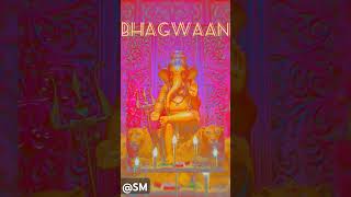 BHAGWAANA GLIMPSES saikatmukherjee youtubeshorts hindudeity [upl. by Ylluz]