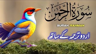 Surah Rehman Tarjuma ke Sath  Qari Al Shaikh Abdul Basit Abdul Samad  islamic Edits 006 [upl. by Barbra]