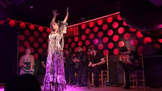 Flamenco at El Patio Andaluz Barcelona [upl. by Burr]