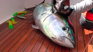 TUNA Catch Clean Cook and EAT Gabriellas Quepos Costa Rica [upl. by Ahsap]