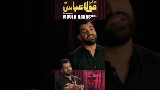 Syed Faraz Hussain Zaidi  TADFEEN E MOULA ABBAS AS  Noha Ayam e Aza 14452023 [upl. by Finbur]