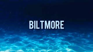 Biltmore Whissell  Feel Something Good Lyrics [upl. by Tterej]