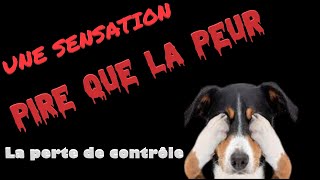 QE 9  PIRE QUE LA PEUR la perte de contrôle son application avec nos chiens [upl. by Irab]