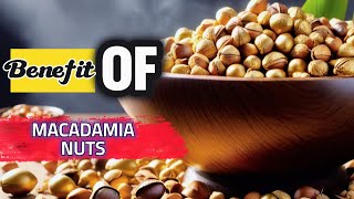 When Did Benefits Of Macadamia Nuts Get So Helpful [upl. by Nivrek]