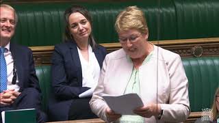 Ann Davies AS  MP  Araith forwynol  Maiden speech [upl. by Elvia]