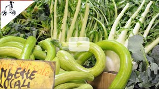 Ventimiglia Market Unusual Vegetables amp Italian Cheeses [upl. by Kreg323]