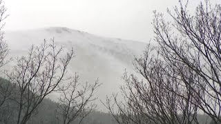 20yearold skier killed in 600foot fall down Tuckerman Ravine [upl. by Ovida]