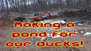 Excavating a pond for our favorite feathered creatures [upl. by Adilem]