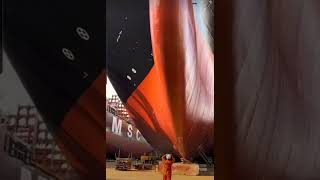 brand new ✨️ 👌 😍 ship shipping shipbuilding amazing huge [upl. by Marni]