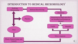 Basics of Medical Microbiology  Microbiology with Sumi [upl. by Nattie263]