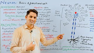 Structure of neuron Nerve cell  Nervous coordination Nervous system Hindi Urdu ProSuresh Kumar [upl. by Yatnod]