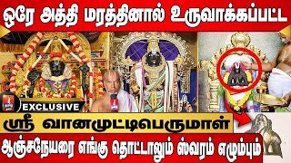 14 அடி உயரமுள்ள பெருமாளின் திருமேனியில் மூலிகை வர்ணம் தீட்டப்பட்டுள்ளது [upl. by Akinar]