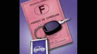 Permis de conduire traditionnel ou pas  France Bienvenue [upl. by Zoila]