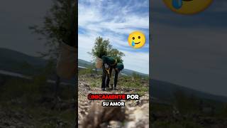 Rompió el Récord Mundial al Plantar 23000 Árboles en un Día 🤯❤️ antomos  YTIGTT [upl. by Langille]