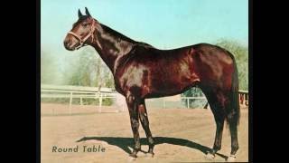 Top 100 US Racehorses of the 20th Century  Part 3 [upl. by Nord910]