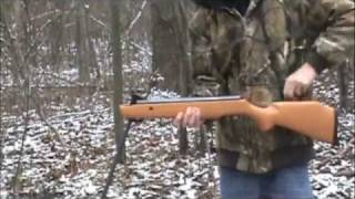 Crosman Quest 1000x Pellet Gun Review [upl. by Francene]