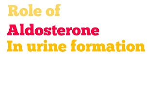 Role of Aldosterone in fluid and electrolytes balance  Addisons disease  Conns syndrome [upl. by Gil]