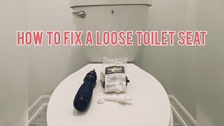 How to Fix a Loose Toilet Seat [upl. by Anolla]