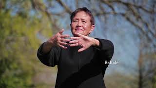 Qigong Full 20Minute Daily Routine [upl. by Anomas]