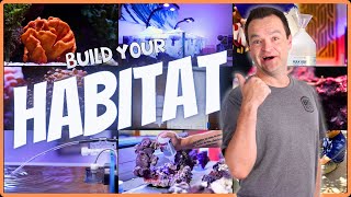 How to Build the PERFECT Saltwater Aquarium Habitat EP 2 [upl. by Nosae]