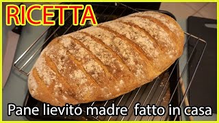 Ricetta preparazione pane fatto in casa con farina 0 e lievito madre [upl. by Ellinnet]