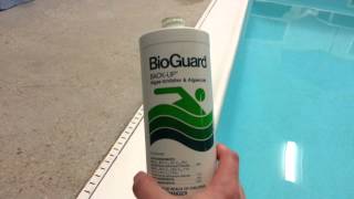 20121113  How to clean pool tile  Remove Algae from Pool Tile [upl. by Reham718]