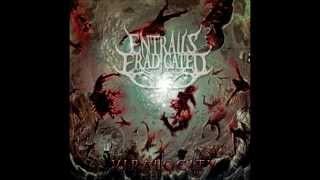 Entrails Eradicated  Viralocity Full EP HD 1080p [upl. by Winthorpe]