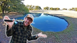 Fishing Backyard Pond for FIRST TIME What Fish Live in Here [upl. by Sugna243]