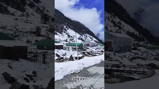 Sela Pass Tawang  snowfall in Selapass india nature viralvideo travel tawang peace like [upl. by Eniruam959]