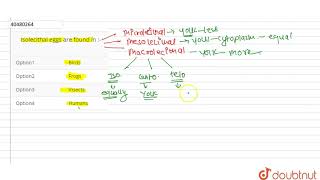 Isolecithal eggs are found in [upl. by Carola480]