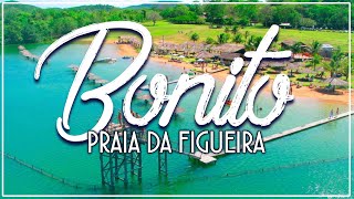 Bonito  Mato Grosso do Sul Praia da Figueira [upl. by Palla166]