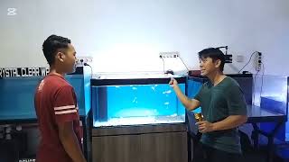 Tank  Aquarium untuk karangtina penting Gak si [upl. by Beeck382]