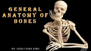 GENERAL ANATOMY OF BONES anatomy bones osteology generalanatomy [upl. by Anuat277]