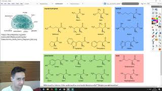 Aminosäuren Bausteine der Polypeptide [upl. by Anirb296]