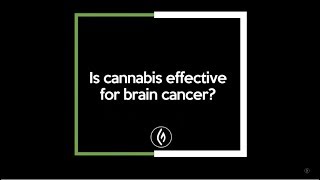 Using Cannabis for Brain Cancer Mara Gordon  Green Flower Cannabis Beginners Series [upl. by Hilde]