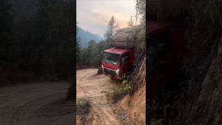 The process of a heavy truck pulling wood downhill and around a curve [upl. by Alyks32]