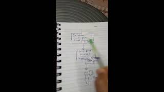 Pathophysiology 2nd sem osteoporosis disease and bone explain by anushree mem [upl. by Lumbard]