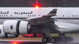 Algerian Government A340541 7TVPP Landing at Hamburg [upl. by Laurie]