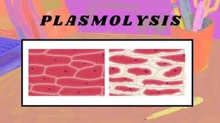 Plasmolysis and Pressure Potential [upl. by Winterbottom]