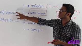 05 ReagentsElectrophile and Nucleophile  বিকারক ইলেক্ট্রনাকর্ষী ও কেন্দ্রাকর্ষী [upl. by Yrrag560]