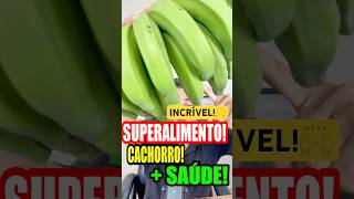 ❇️SUPERALIMENTO para cachorro cachorro alimentacaonaturalparacaes cachorro filhote banana [upl. by Nidla]