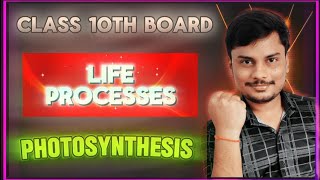 Life Process  Photosynthesis in Plants [upl. by Nilrah]