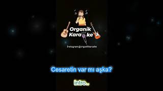 Cesaretin Var mı aşka karaoke [upl. by Tati]