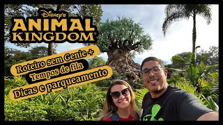 Disney Animal Kingdom Orlando  Um dia no parque SEM GENIE  Roteiro e Dicas [upl. by Akenit190]