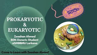 Prokaryotic amp Eukaryotic CellDifference9th class BiologySindhi LectureCome to Learn with Zeeshan [upl. by Aihsiyt]