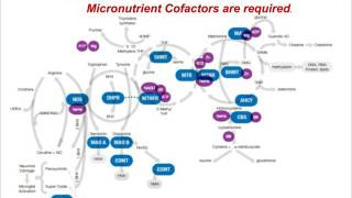 Introduction to Micronutrient Testing Patterns and Pearls [upl. by Mercuri]