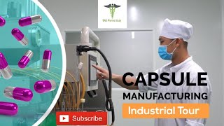 Capsules Manufacturing Process  Soft Gelatin Capsules [upl. by Zabrine]