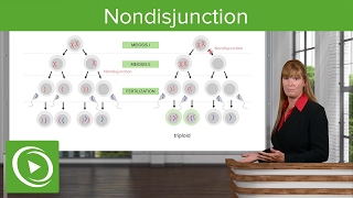 Nondisjunction Chromosomal Disorders amp Aneuploidies – Medical Genetics  Lecturio [upl. by Asinet]